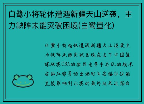 白鹭小将轮休遭遇新疆天山逆袭，主力缺阵未能突破困境(白鹭量化)