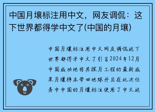 中国月壤标注用中文，网友调侃：这下世界都得学中文了(中国的月壤)