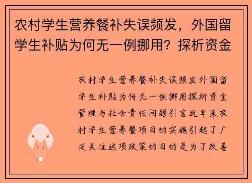 农村学生营养餐补失误频发，外国留学生补贴为何无一例挪用？探析资金管理与社会责任问题