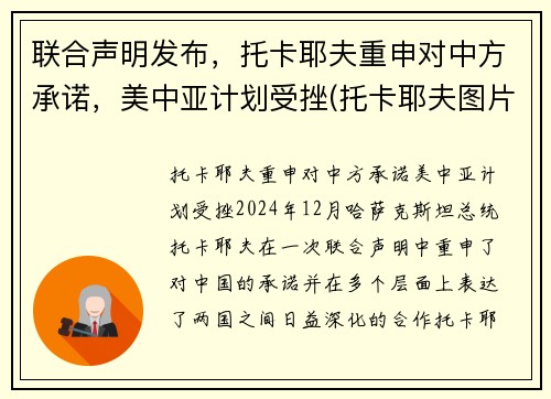 联合声明发布，托卡耶夫重申对中方承诺，美中亚计划受挫(托卡耶夫图片)