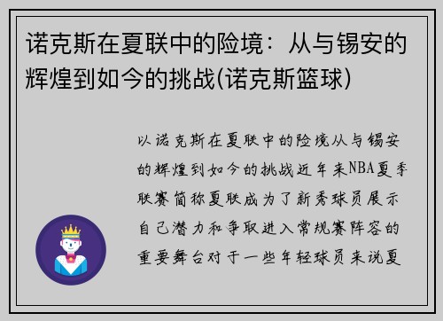 诺克斯在夏联中的险境：从与锡安的辉煌到如今的挑战(诺克斯篮球)