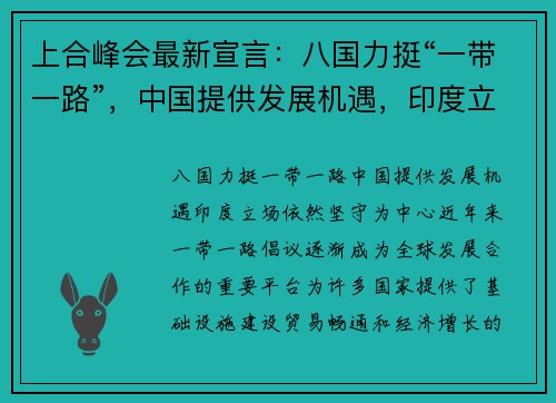 上合峰会最新宣言：八国力挺“一带一路”，中国提供发展机遇，印度立场依然坚守
